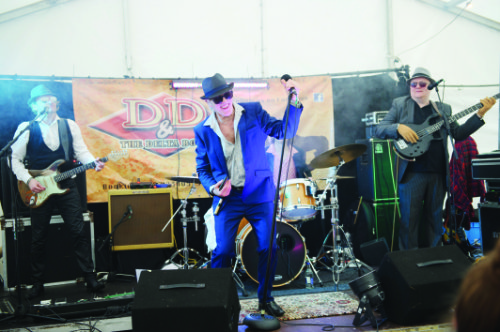 DD & The Delta Boys on stage at The Westenra Hotel. Â©Rory Geary/The Northern Standard