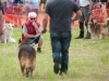 Tomas McSkeane judging the dog show during the day. Â©Rory Geary/The Northern Standard